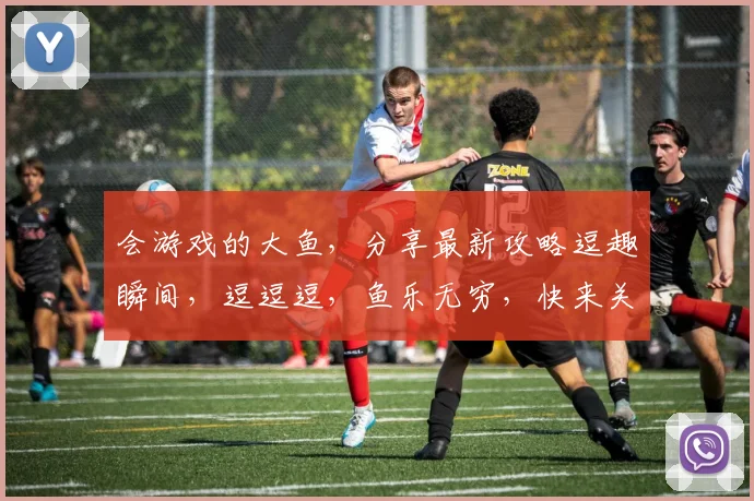 会游戏的大鱼，分享最新攻略逗趣瞬间，逗逗逗，鱼乐无穷，快来关注