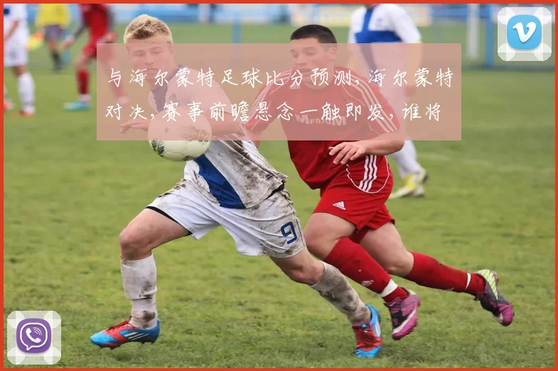 与海尔蒙特足球比分预测,海尔蒙特对决,赛事前瞻悬念一触即发,谁将笑傲绿茵场
