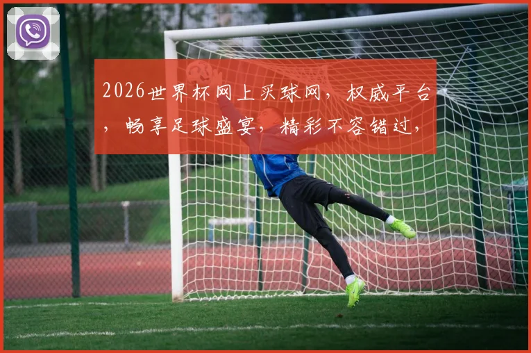 2026世界杯网上买球网，权威平台，畅享足球盛宴，精彩不容错过，购球无忧